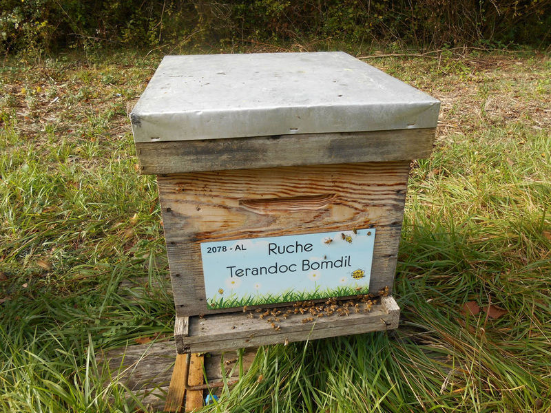 La ruche Terandoc Bomdil